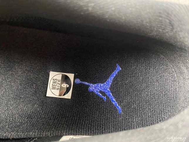 Jordan 11 Air Low FV5104-004 Space Jam 0701